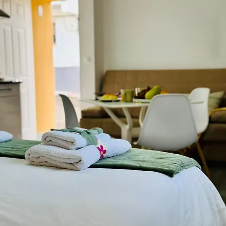 Alaudae Parking Gratis Plazas Limitadas Apartament *
